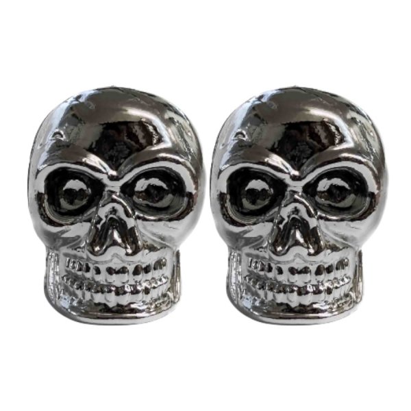 &Kappa;&alpha;&pi;ά&kappa;&iota;&alpha; &Beta;&alpha;&lambda;&beta;ί&delta;&alpha;&sigmaf; &Zeta;&epsilon;ύ&gamma;&omicron;&sigmaf; &Nu;&epsilon;&kappa;&rho;&omicron;&kappa;&epsilon;&phi;&alpha;&lambda;ή A/V Silver