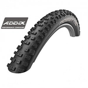 &Epsilon;&lambda;&alpha;&sigma;&tau;&iota;&kappa;ό Schwalbe Nobby Nic 29x2,40 Addix Performance DD (&Delta;&iota;&pi;&lambda;&omega;&tau;ά)