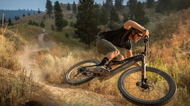 SPECIALIZED AUTHORIZED DEALER