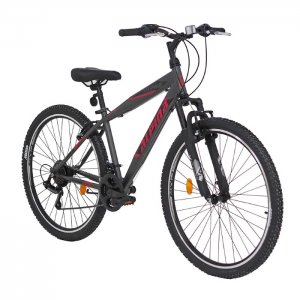 &Pi;&omicron;&delta;ή&lambda;&alpha;&tau;&omicron; MTB Alpina Alpha 29'' 21sp Anthracite Fuchsia